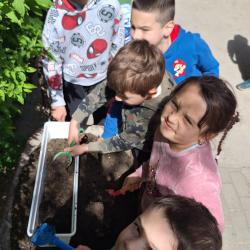 Kéknefelejcs tagóvoda