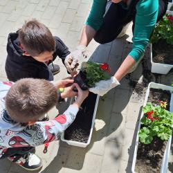 Kéknefelejcs tagóvoda