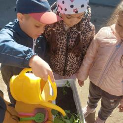 Kéknefelejcs tagóvoda