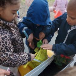 Kéknefelejcs tagóvoda