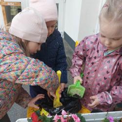 Kéknefelejcs tagóvoda