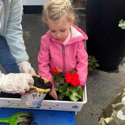 Kéknefelejcs tagóvoda